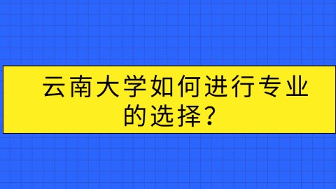 　云南大学如何进行专业的选择？